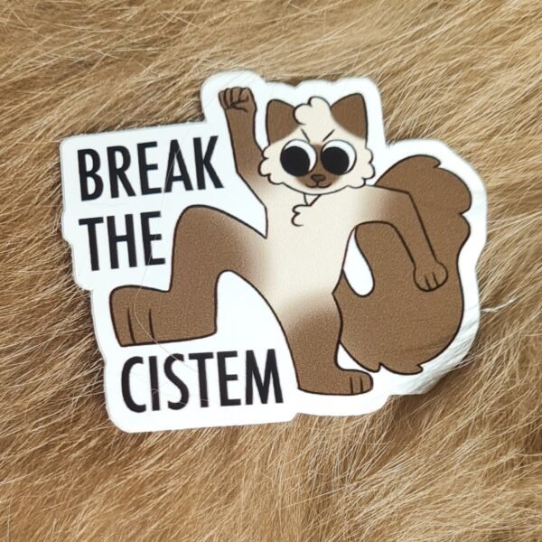 Break the cistem, vinyylitarra