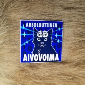 Absoluuttinen aivovoima, vinyylitarra