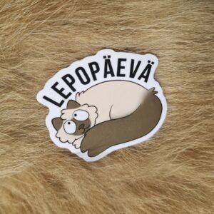 Lepopäevä, vinyylitarra