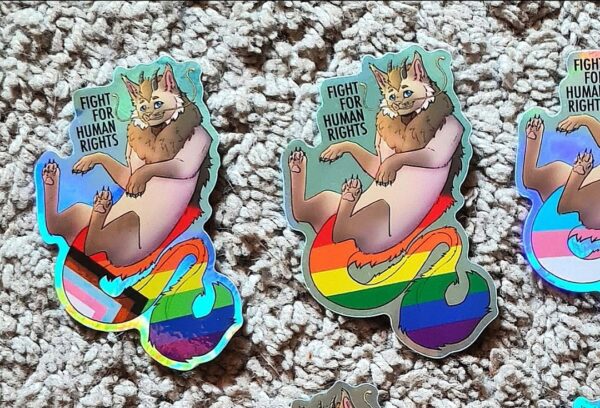 Pride-lippukissat, isot holotarrat - Image 2
