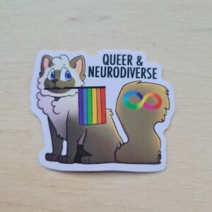 Queer & Neurodiverse, vinyylitarra