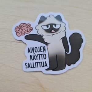 Aivojen käyttö sallittua, vinyylitarra