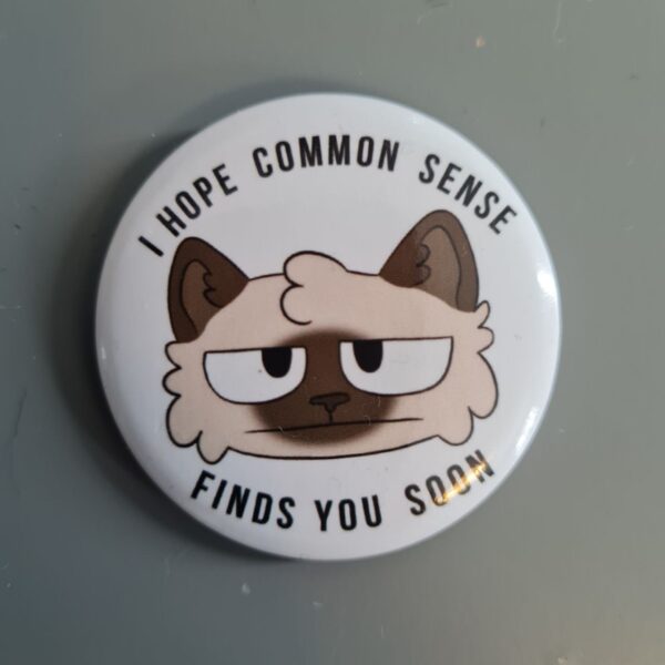 Common sense, pinssi
